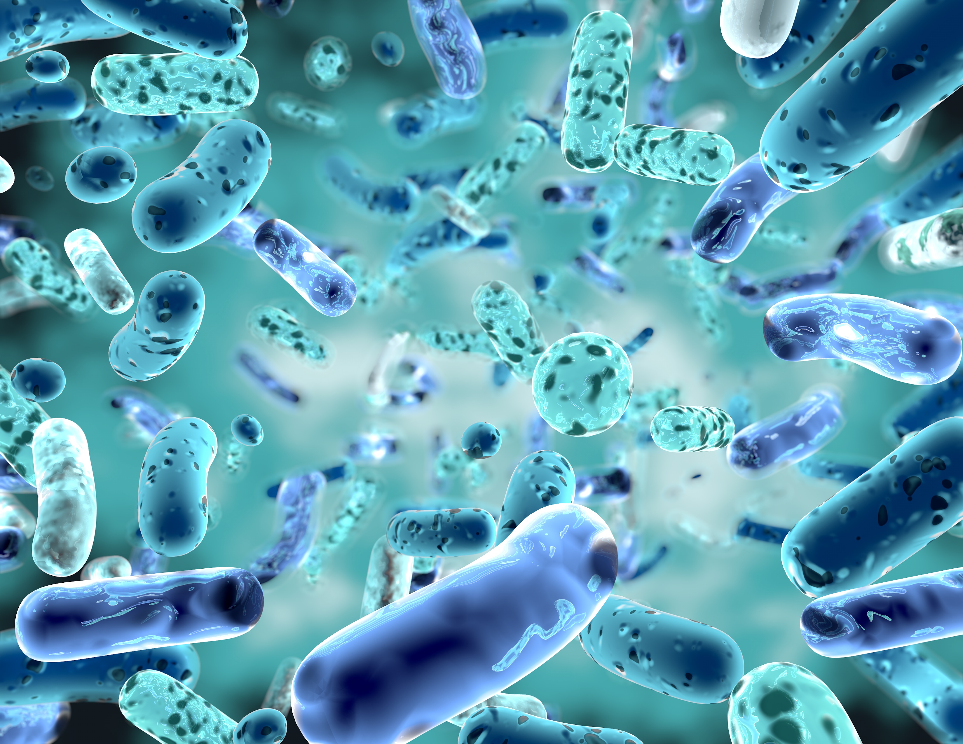 2nd Edition of Webinar on Probiotics, Gut Microbiome & Immune System